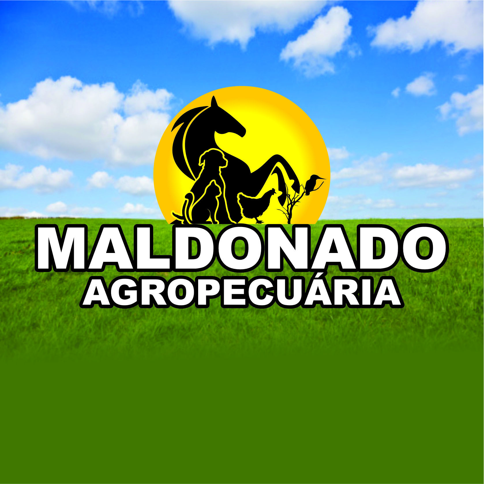 Maldonado Agropecuária
